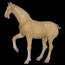 Cheval sauvage en terre cuite ocre